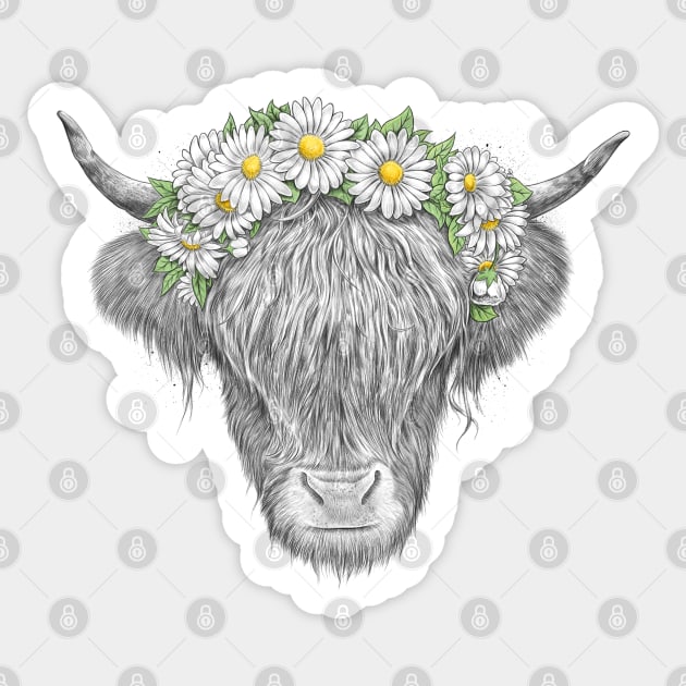 Highland cow Sticker by NikKor